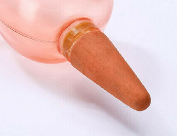 Plant Self Watering Spikes Pot Drip Irrigation Garden Tool Plant Waterer - Lets Party