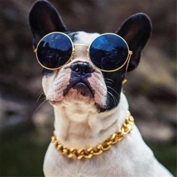 Gold Puppy Chain Necklace Pet Small Dog Necklace Collar Jewelry Neck Accessory