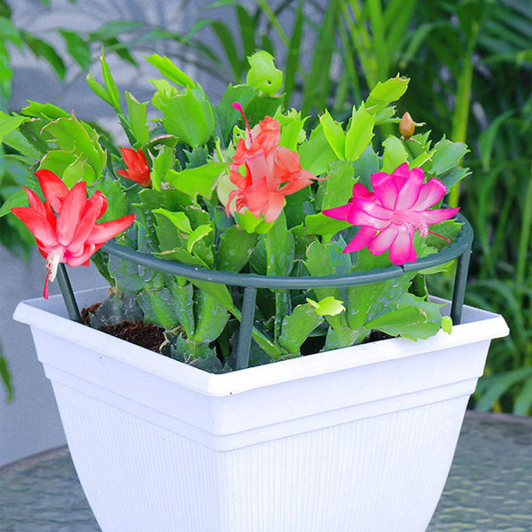 8X Stakes Plant Support Stand Garden Climbing Trellis +50X Plant Garden Clips AU