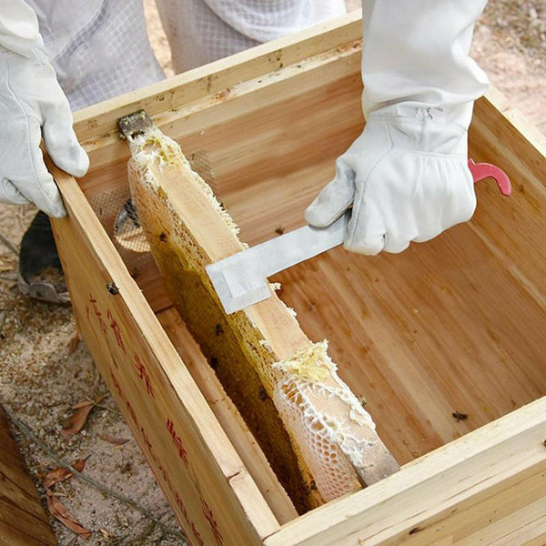 Durable Stainless Steel Bee Keeper J-Shape Hive Beekeeping Hook Scraper Tools AU