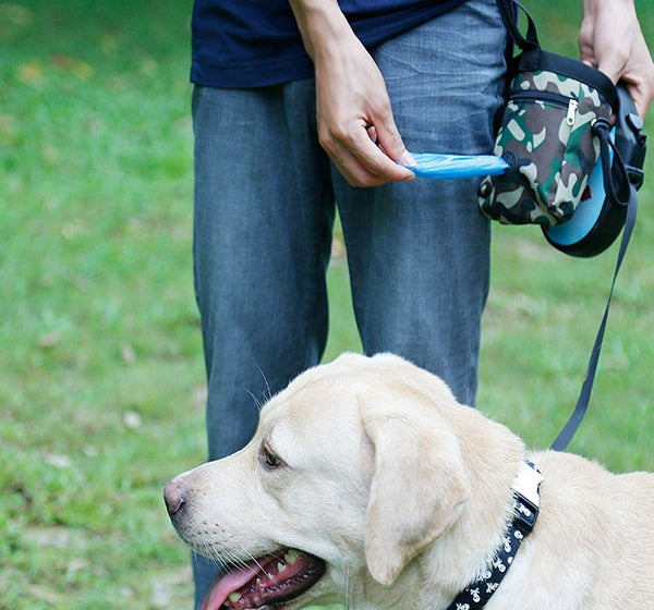 Pet Puppy Dog Obedience Training Treat Bag Feed Pouch Training Snack Waist Bag