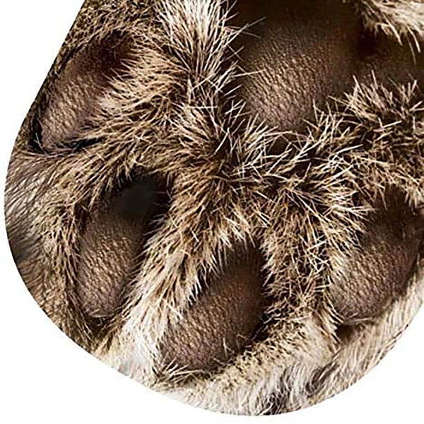 NEW 3D Print Cat Animal Paws Crew Socks-Novelty Funny Gift for Kids Men Women AU