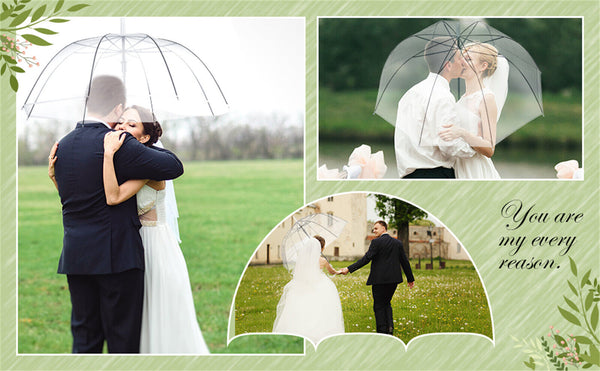 Clear Dome Umbrella Wedding Rain Transparent Parasol Handle Waterproof