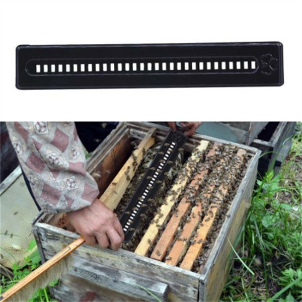20PCS Small Bee Hive Mite Beetle BeeHive Trap Beekeeping Equipment Tools AU SELL