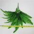 products/s-l1600_36cdc30c-4774-4ebb-b1a1-d44a2b10e1cd.jpg