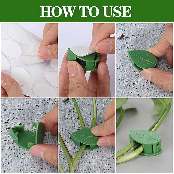Invisible Vine Plant Clips Rattan Plant Climbing Wall Clip Wall Vine Fix Fixture