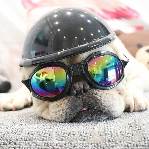 Protection Small Doggles Dog Sunglasses Pet Goggles UV Sun Glasses Eye Wear AU