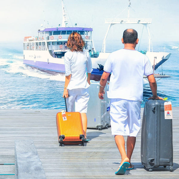 5X Cruise Ship Luggage Tag Holder Zip Seal Pouch Keyring Steel Wire Cable Loops