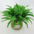 products/s-l1600_39a4468e-a31a-4a9b-b9a6-0fa4f0d20b69.jpg