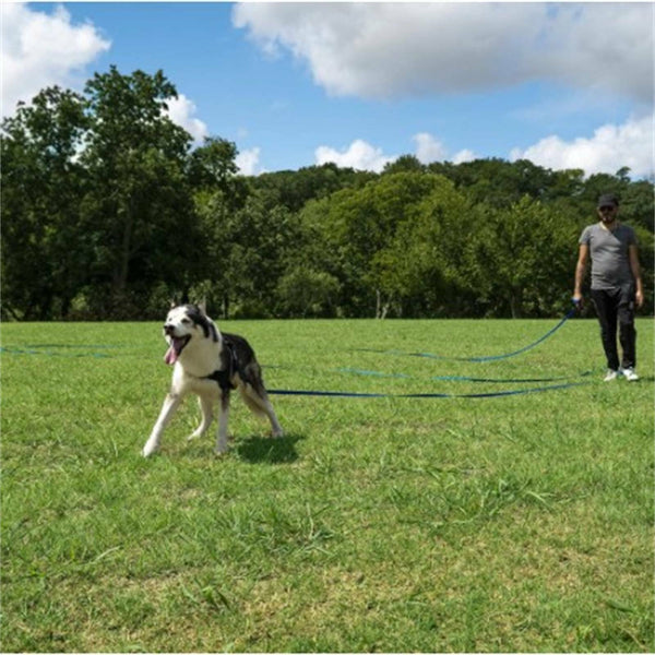 1.8-30m Dog Leash Pet Puppy Training Obedience Recall Lead Outdoor Walk Leashes
