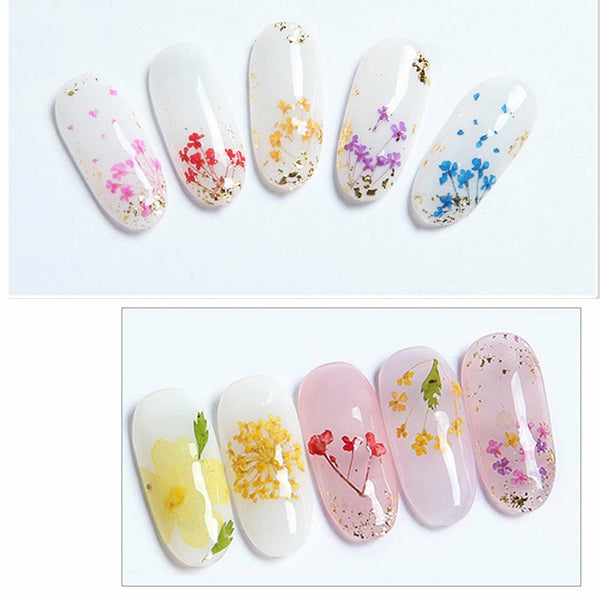 12 Colours 36pcs Real Dried Flowers Nail Art Decoration DIY Tips Nail Decals AU