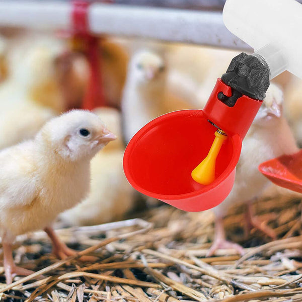 10PCS Automatic Cups Water Feeder Drinker Chicken Waterer Poultry Chook Bird AUS