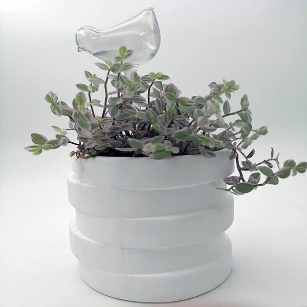 Automatic Self Plant Watering Glass Bulbs Water Feeder Indoor Irrigation Outdoor