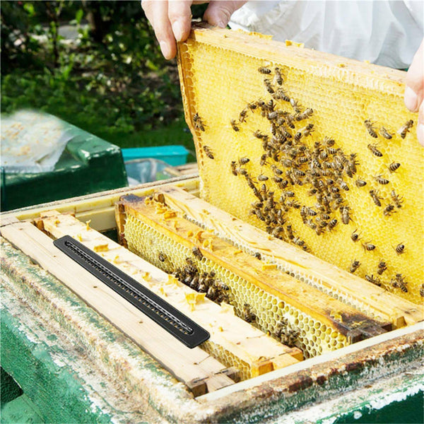 20PCS Small Bee Hive Mite Beetle BeeHive Trap Beekeeping Equipment Tools AU SELL