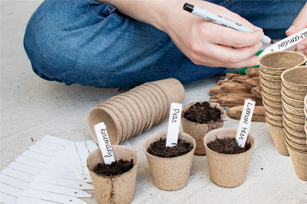 Biodegradable Paper Seedling Pots Seed Starter Garden Nursery Round Herb Planter