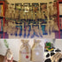 products/s-l1600_42f48195-da49-4970-854c-811c4ecaee7e.jpg