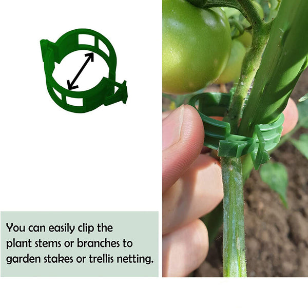 300/600/1200PC Tomato Greenhouse Garden Plant Support Veggie Clip Trellis Twine