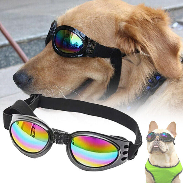 Protection Small Doggles Dog Sunglasses Pet Goggles UV Sun Glasses Eye Wear AU