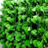 products/s-l1600_46292717-aaae-4c79-a411-cc7d369090d3.jpg