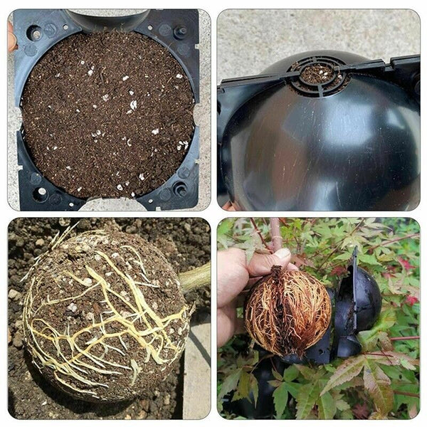 10Pcs Plant Rooting High Pressure Propagation Ball Root Grow Grafting Box AU