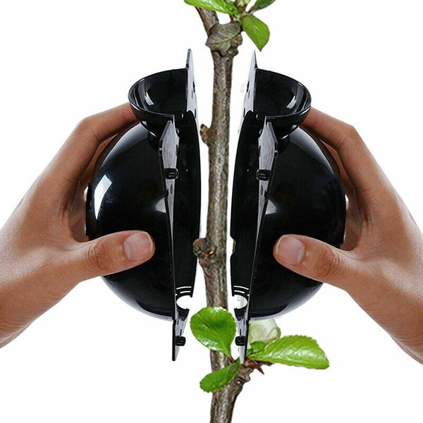 10Pcs Plant Rooting High Pressure Propagation Ball Root Grow Grafting Box AU