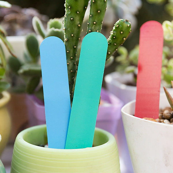 100Pcs PVC Plant Marker Labels Flexible Plastic Tag Seedlings Waterproof Garden - Lets Party