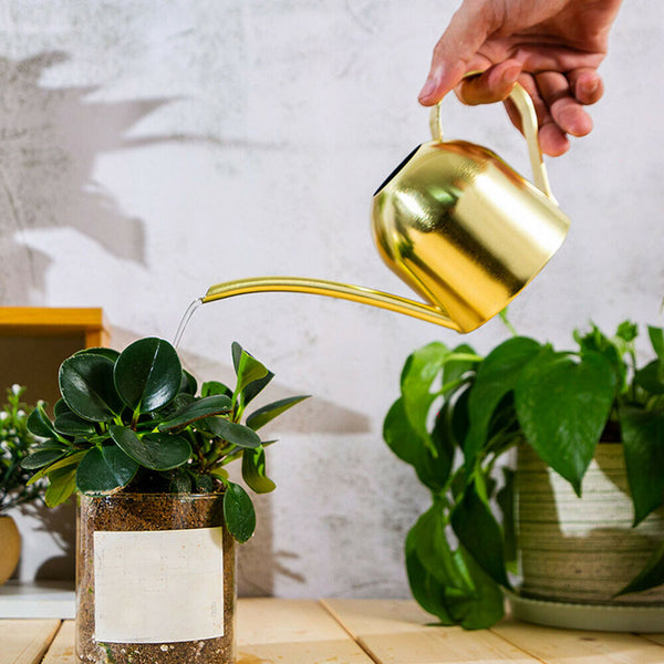 500ml Small Indoor Watering Can for House Plants Stainless Pot w/ Long Spout - Lets Party