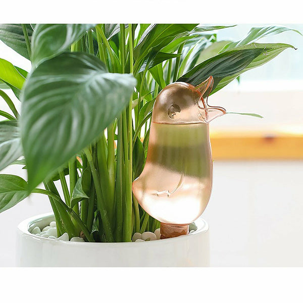 4PCS Plant Self Watering Spikes Pot Drip Irrigation Garden Tool Plant Waterer AU