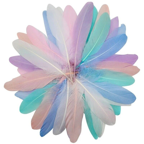 100x Macaron Mixed Colour 3-8cm Goose Feathers DIY Craft Dream Catcher Party AU