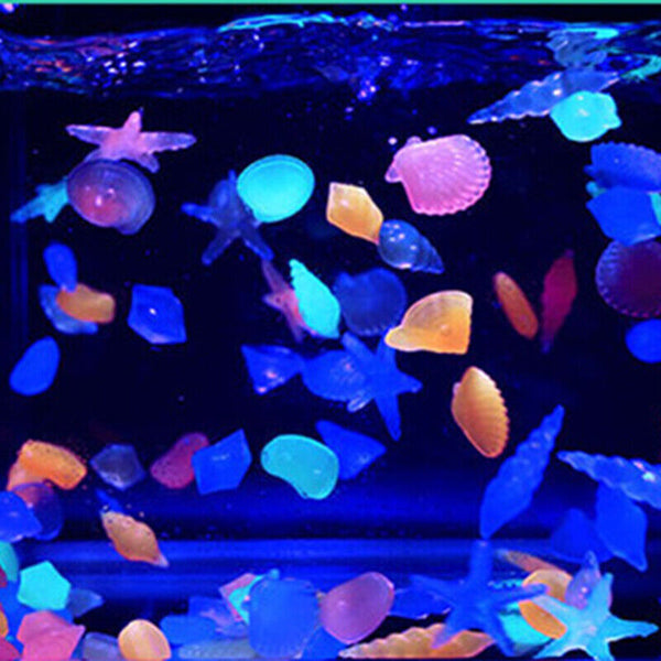 50Pcs Shell Pebbles Stone Glow in the Dark Rock Fish Tank Stones Garden Road AU