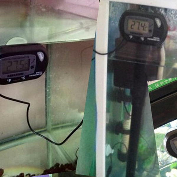 Reptile Aquarium Digital Thermometer Marine Fish Tank LCD Terrarium Frog Gauge