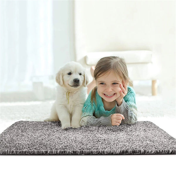Two Super Absorbent Magic Doormat Pet Mat Step Clean Non Slip Dirt Mud Trapper