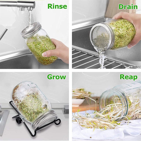 1 set Seed Sprouting Jar Kit Mouth Sprouting Jar with Screen Lid Stands16oz/32oz