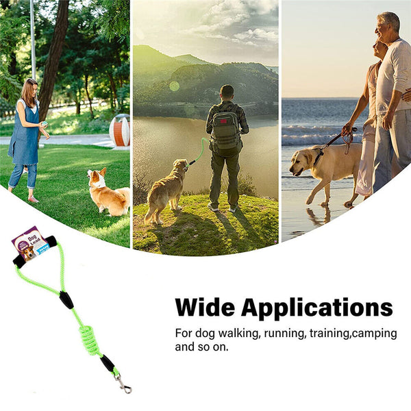 Nylon Dog Training Leash Heavy Duty Pet Strong Rope Recall Lead Walk Tracking AU