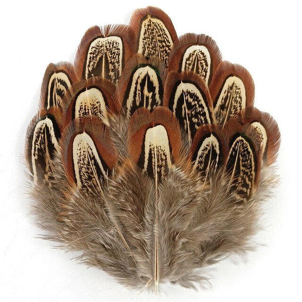 BULK 50pcs Natural Pheasant Feathers 5-8cm DIY Craft Millinery Smudge Fan