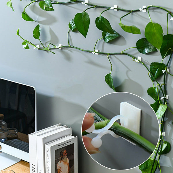200Pcs Invisible Wall Rattan Clamp Clip Plant Climbing Wall Clip Wall Vine Fixt