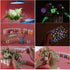 products/s-l1600_5dd9ad9f-c77b-42aa-91eb-06dcb8dc92c9.jpg