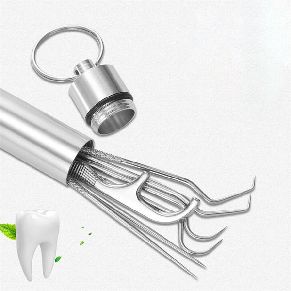 8x AU Stainless Steel Toothpick Set Metal Flossing Portable Toothpick Box Holder