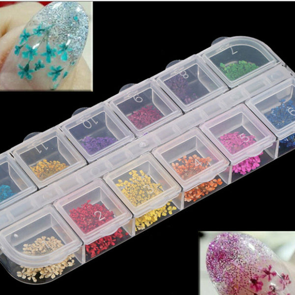 12 Colours 36pcs Real Dried Flowers Nail Art Decoration DIY Tips Nail Decals AU