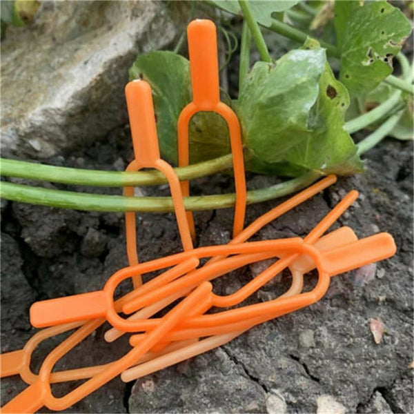 Plastic Plant Clip Climbing Support Clip Plant Vine Holder Garden Clip
