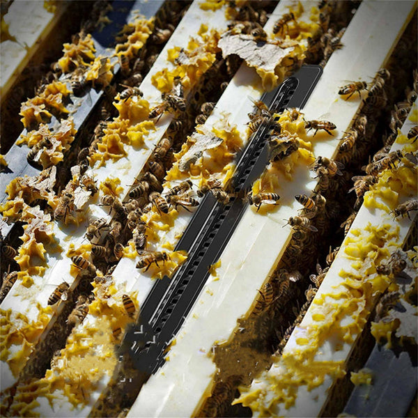 20PCS Small Bee Hive Mite Beetle BeeHive Trap Beekeeping Equipment Tools AU SELL