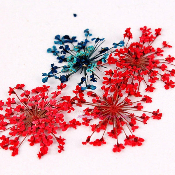 12 Colours 36pcs Real Dried Flowers Nail Art Decoration DIY Tips Nail Decals AU