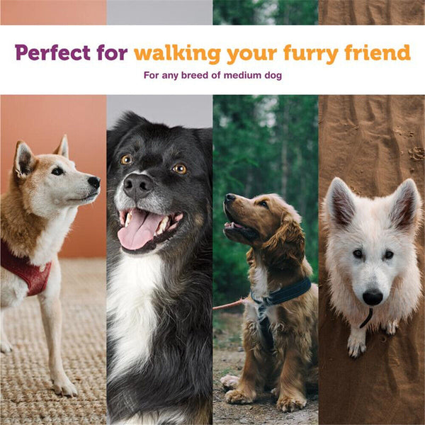 Nylon Dog Training Leash Heavy Duty Pet Strong Rope Recall Lead Walk Tracking AU