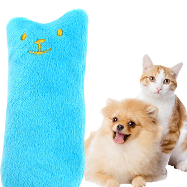 2x Chew Teeth Grinding Toys Crazy Pillow Catnip interactive Gift Cat Scratch Pet