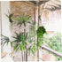 10-50PCS 36cm Flower Pot Hook Hanging Baskets 3 Prong Hanger Plants Hanging Pot