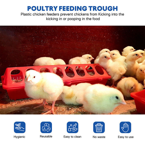 30cm Feeder Storage Trough Quail Drinker Plastic Wild Stable Chick Birds Pigeons