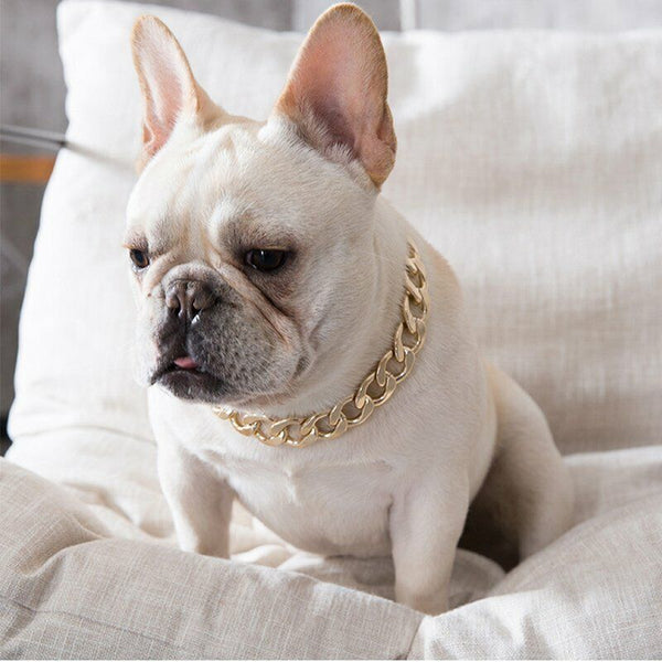Gold Puppy Chain Necklace Pet Small Dog Necklace Collar Jewelry Neck Accessory