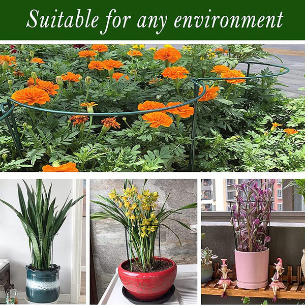 8X Stakes Plant Support Stand Garden Climbing Trellis +50X Plant Garden Clips AU