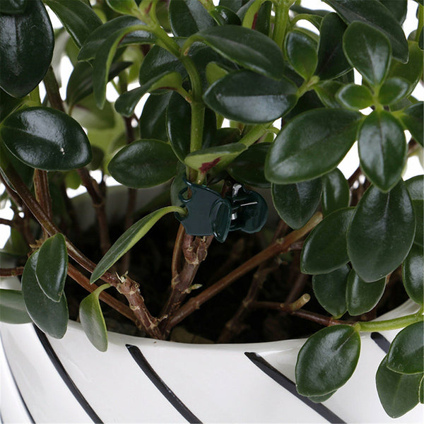 100Pcs Plant Garden Clips Vegetable Support Flower Holding Vine Orchid Clips AUS