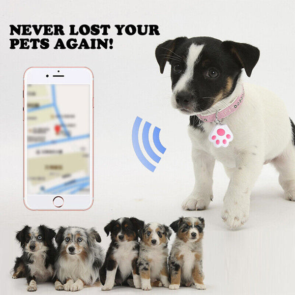 Mini Pet Cat Dog GPS Locator Tracker Anti Lost Realtime Tracking Finder Device